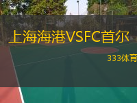上海海港VSFC首爾