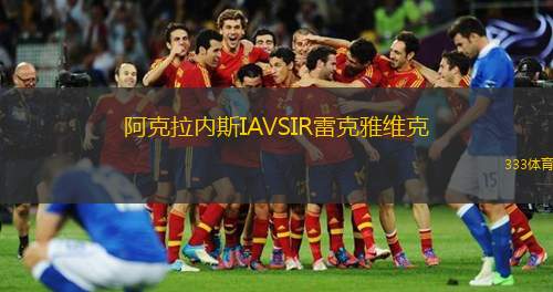 阿克拉內(nèi)斯IAVSIR雷克雅維克