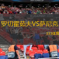 羅切霍茹夫VS薩尼克