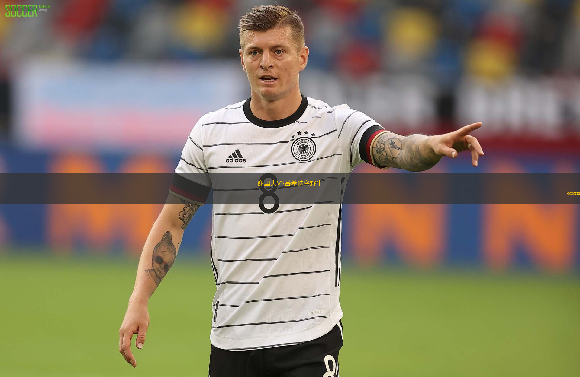 謝里夫VS基希訥烏野牛