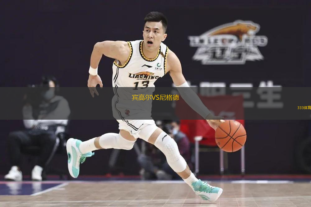 賓高爾VS尼格德