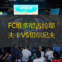 FC維多尼古拉耶夫卡VS切爾尼夫