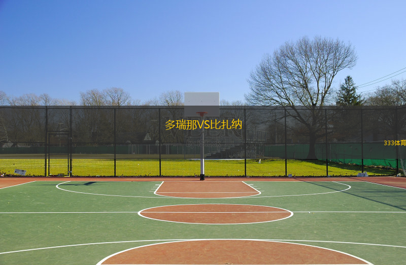 多瑞那VS比扎納