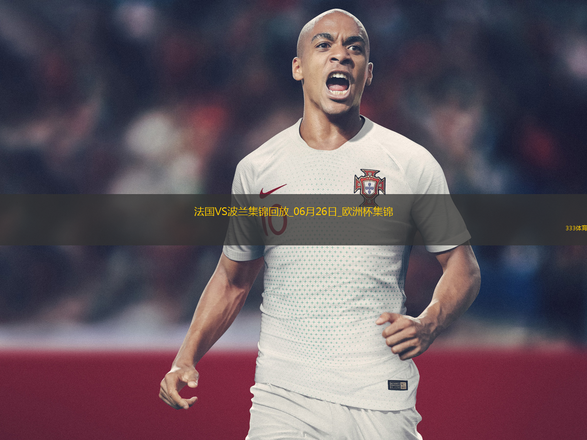 歐洲杯小組賽D組第3輪法國vs波蘭片段