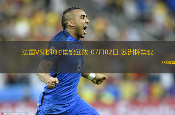 07月02日歐洲杯1/8決賽法國vs比利時精彩片段
