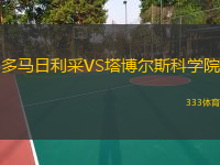 多馬日利采VS塔博爾斯科學院