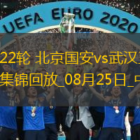 中超第22輪北京國安vs武漢三鎮(zhèn)進(jìn)球視頻