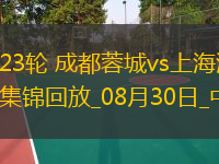 中超第23輪成都蓉城vs上海海港進(jìn)球視頻