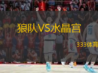 狼隊(duì)VS水晶宮
