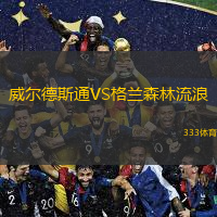 威爾德斯通VS格蘭森林流浪