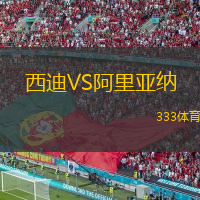 西迪VS阿里亞納