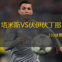 塔米斯VS伏伊伏丁那