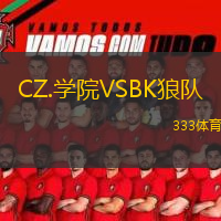 CZ.學(xué)院VSBK狼隊(duì)