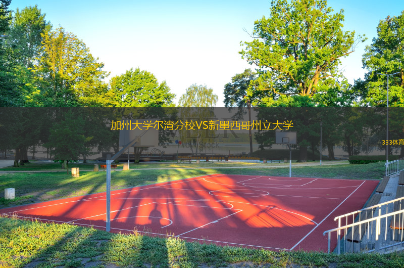 加州大學(xué)爾灣分校VS新墨西哥州立大學(xué)