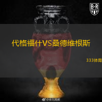 代格福什VS桑德維根斯