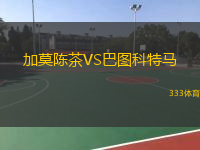 加莫陳茶VS巴圖科特馬