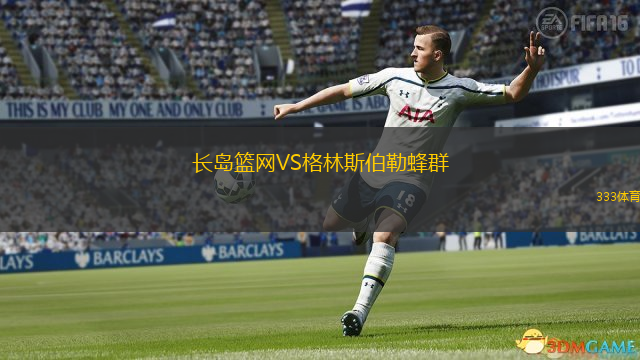 長島籃網(wǎng)VS格林斯伯勒蜂群