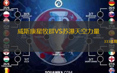 威斯康星牧群VS蘇瀑天空力量