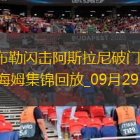 德甲-庫布勒閃擊阿斯拉尼破門弗賴堡1-1霍芬海姆