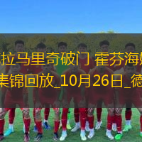 德甲-克拉馬里奇破門霍芬海姆3-1海登海姆