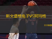 斯文堡格兔子VS阿瑪格