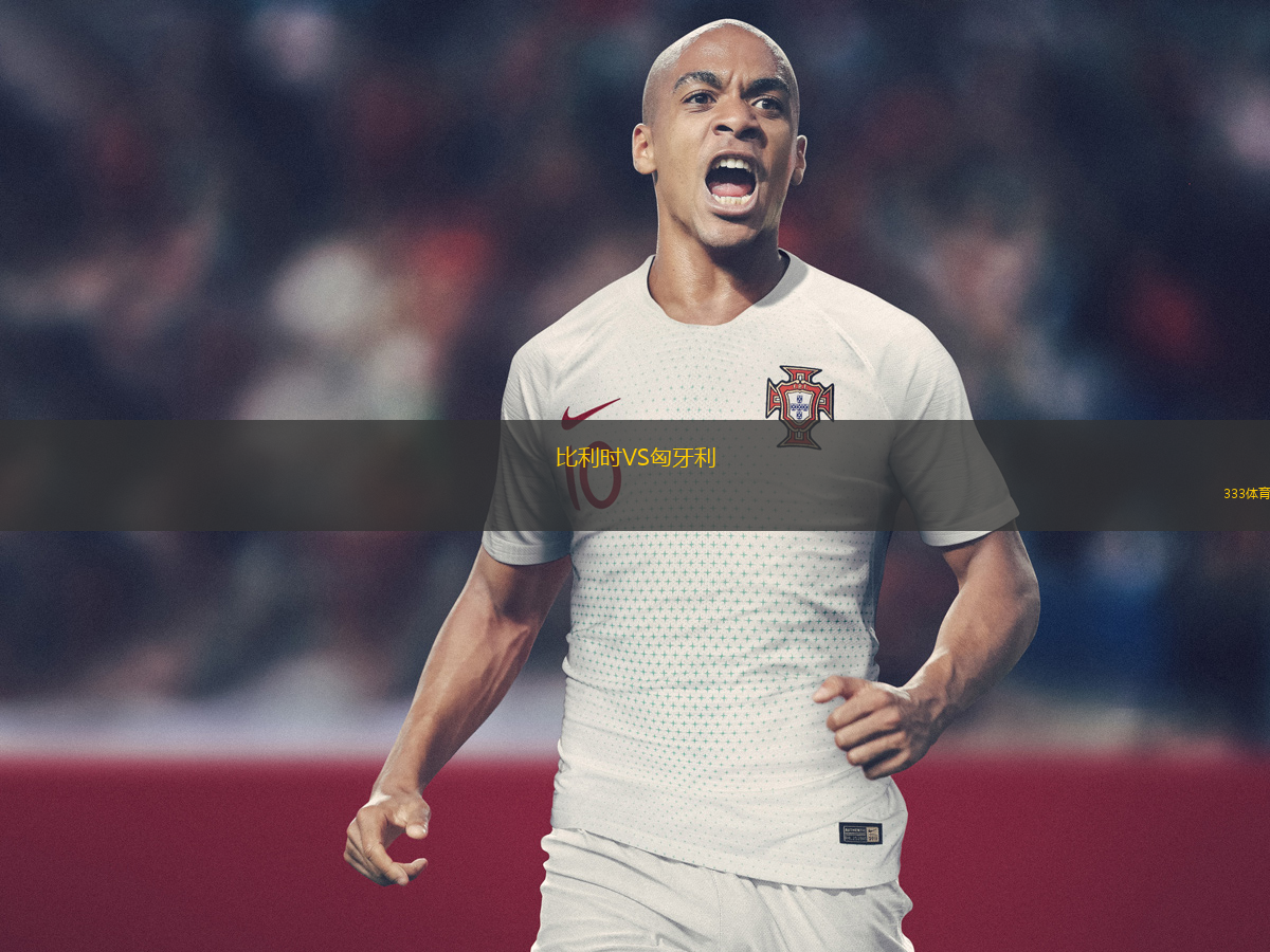 比利時(shí)VS匈牙利