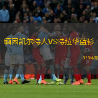 緬因凱爾特人VS特拉華藍衫