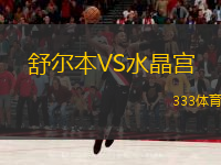 舒爾本VS水晶宮