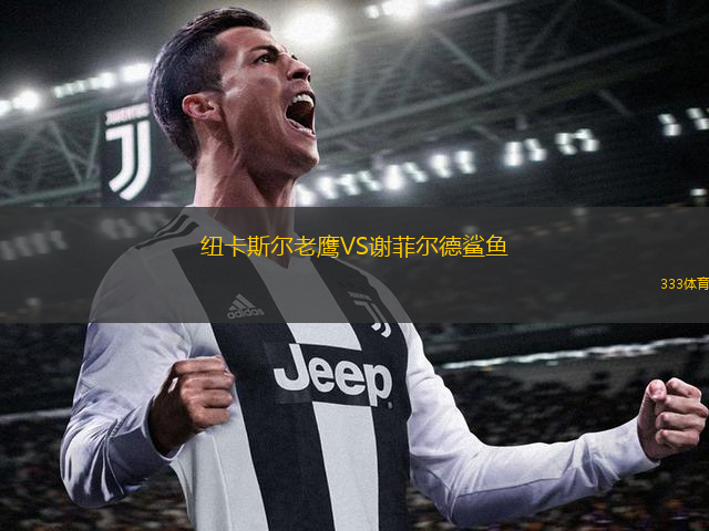 紐卡斯?fàn)柪销梀S謝菲爾德鯊魚