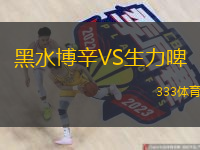 黑水博辛VS生力啤