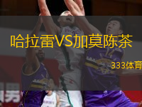 哈拉雷VS加莫陳茶