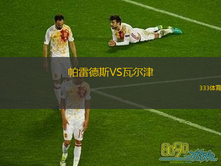 帕雷德斯VS瓦爾津