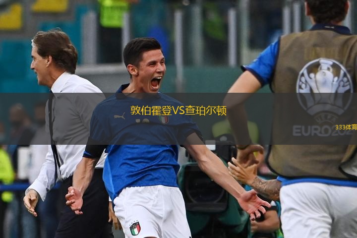 敦伯霍登VS查珀?duì)栴D