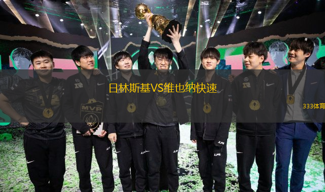 日林斯基VS維也納快速
